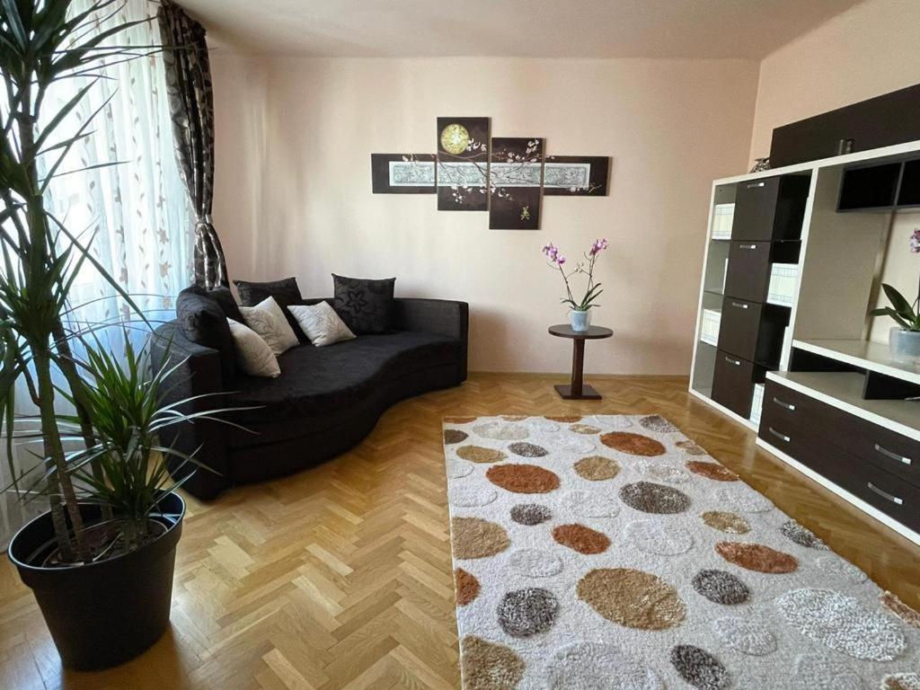 Winterland Sf.Ioan Apartment Brasov Exterior photo